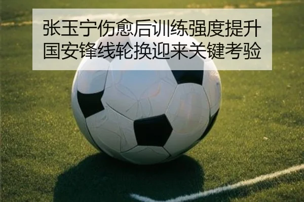 张玉宁伤愈后训练强度提升 国安锋线轮换迎来关键考验
